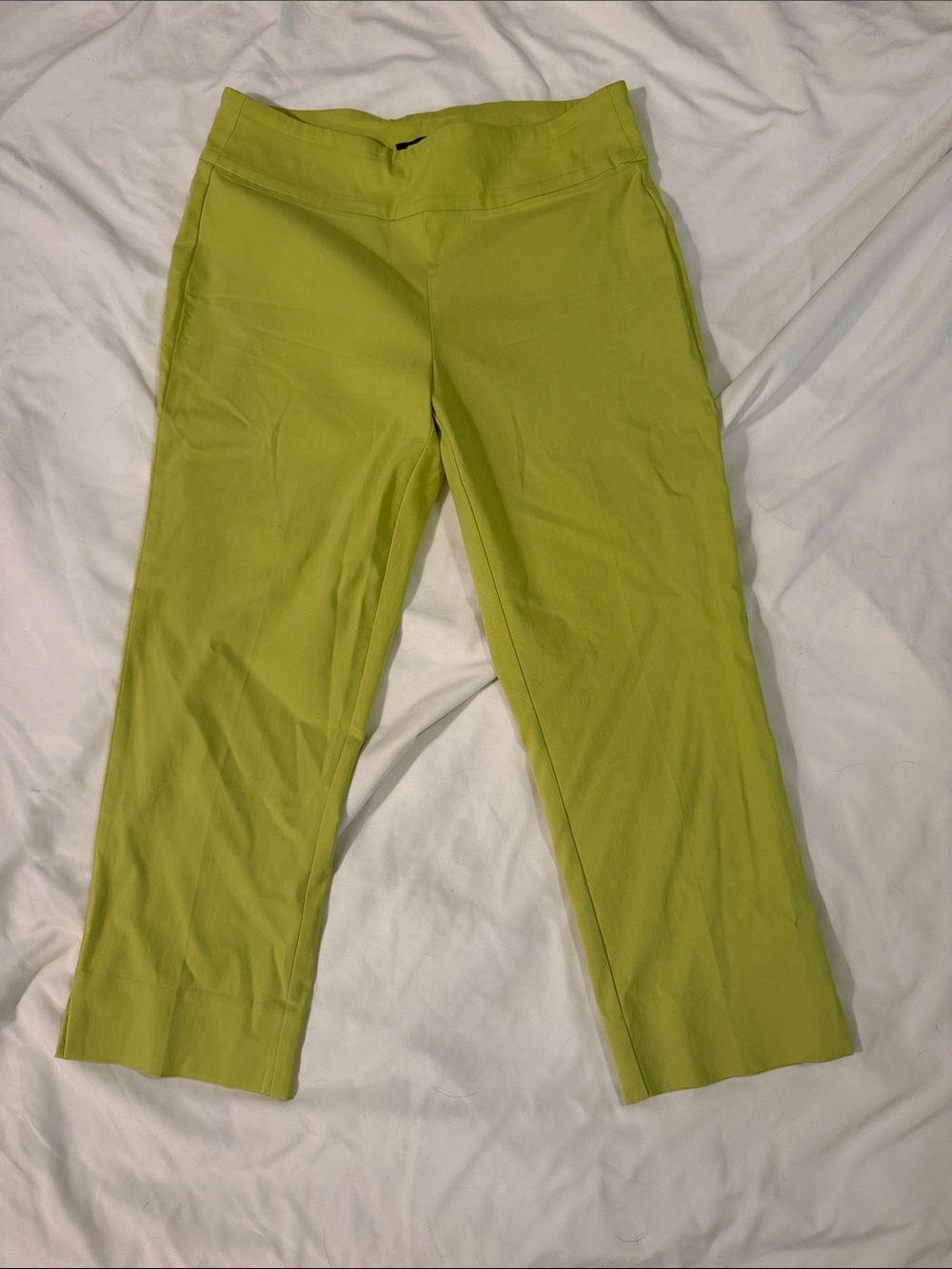 Roz & Ali Lime Cropped Dress Pants